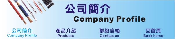  公司簡介 / Company Profile 